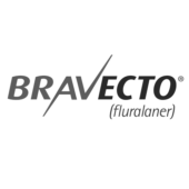 bravecto